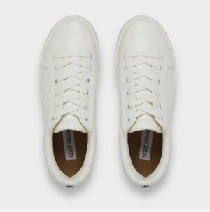 STEVE MADDEN LADIES' CLASSIC COURT SNEAKER 10